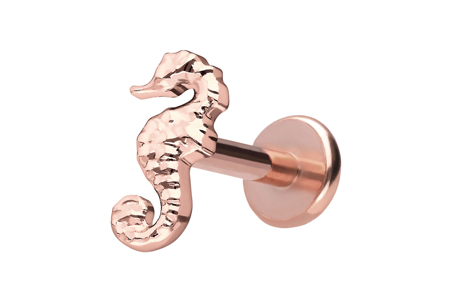Titan Labret Piercing mit Push Fit SEEPFERDCHEN